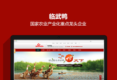 湖南临武舜华鸭业营销品牌网站案例